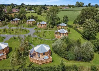 The Firs (Pet), The Firs - Hidden Firs, Nr Oswestry