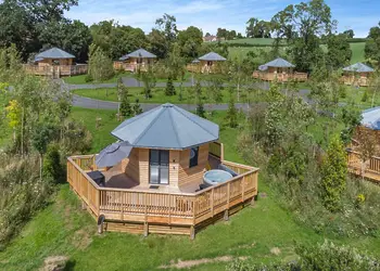 Hidden Firs, Nr Oswestry