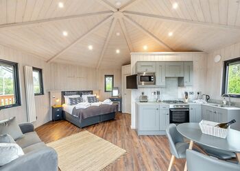 The Firs (Pet) - Hidden Firs, Nr Oswestry