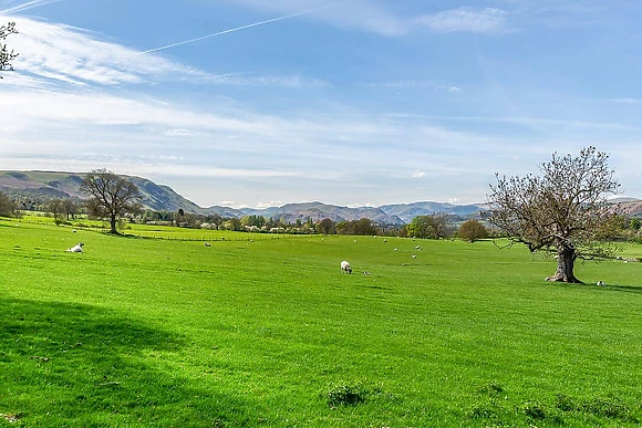 Hillcroft Park Glamping, Pooley Bridge