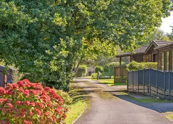 Willow Bay Lodge Escape, Holsworthy