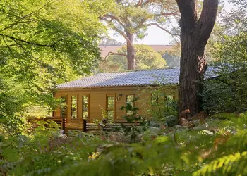 Willow Bay Lodge Escape, Holsworthy