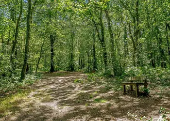 Willow Bay Country Park, Holsworthy