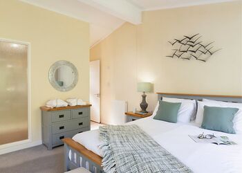 Elite Spa Lodge 2 - Willow Bay Lodge Escape, Holsworthy