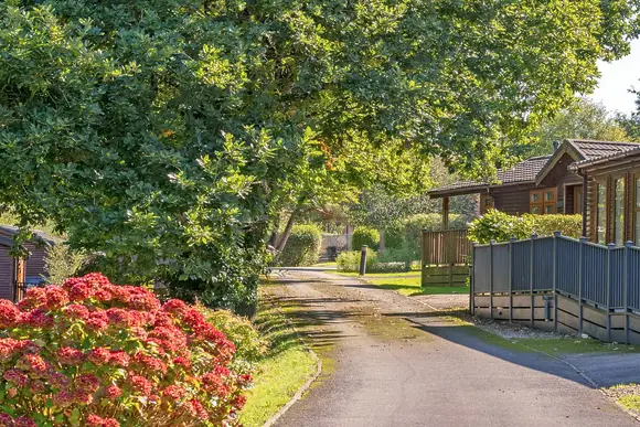 Willow Bay Lodge Escape, Holsworthy