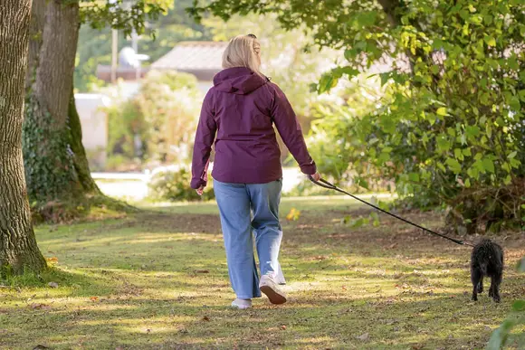 Willow Bay Lodge Escape, Holsworthy