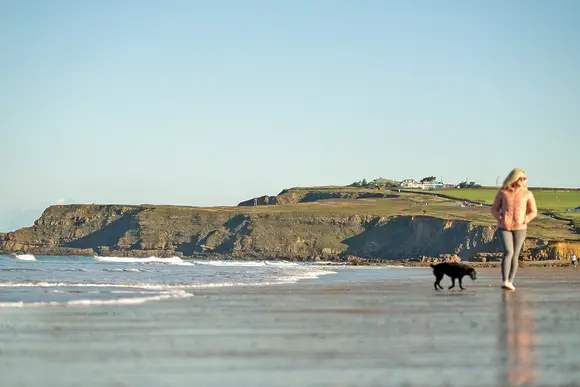 Willow Bay Lodge Escape, Holsworthy