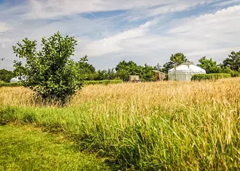 Headland Escape Glamping, Tenby