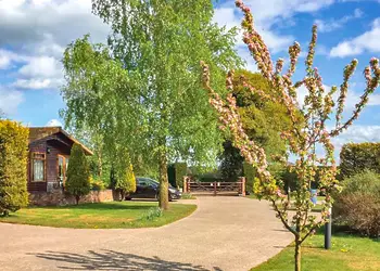 The park setting<br />