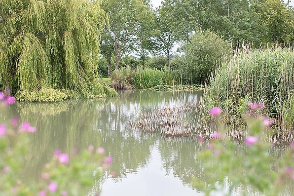 Hanworth Country Park, Potterhanworth