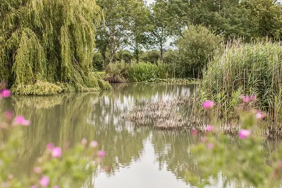 Hanworth Country Park, Potterhanworth