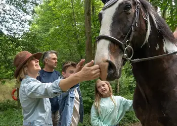 Holmans Wood, Chudleigh