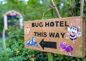 Holmans Wood, Chudleigh