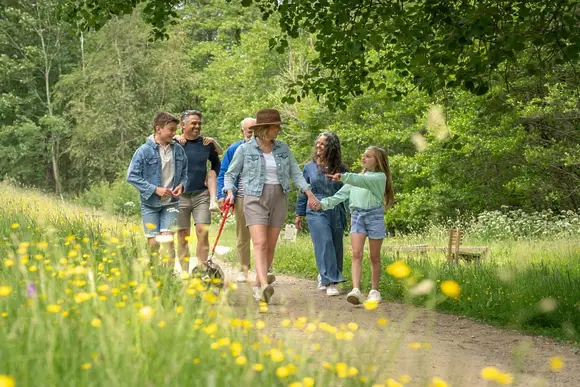 Holmans Wood, Chudleigh