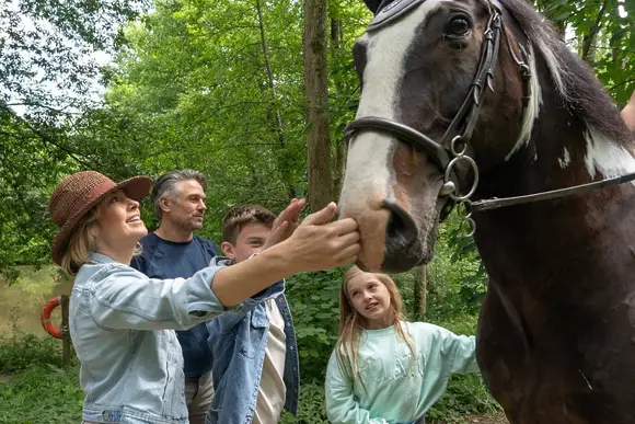 Holmans Wood, Chudleigh