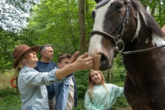 Holmans Wood, Chudleigh