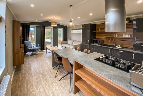 Luxury Holiday Home Hot Tub 4 - Holmans Wood, Chudleigh