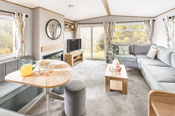 Comfort Plus Caravan 6 - Holmans Wood, Chudleigh