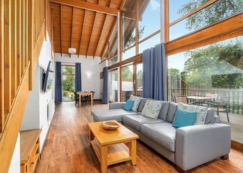 Classic Silver Birch 2 WF (Pet) - Keldy, Nr Pickering