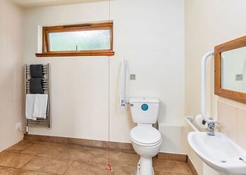 Classic Silver Birch 2 WF (Pet) - Keldy, Nr Pickering