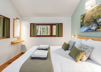 Classic Golden Oak 4 (Pet) - Keldy, Nr Pickering