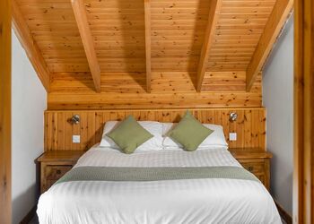 Classic Golden Oak Treehouse - Keldy, Nr Pickering