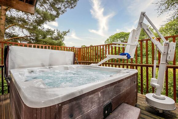 Classic Silver Birch 2 WF (Pet) - Keldy, Nr Pickering