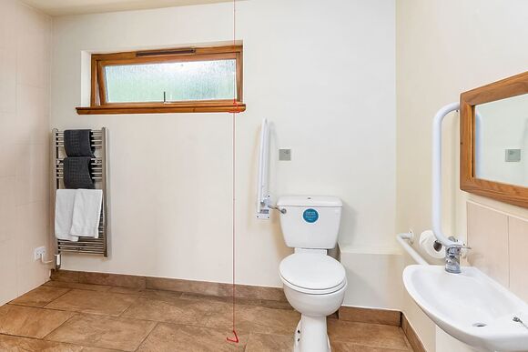 Classic Silver Birch 2 WF (Pet) - Keldy, Nr Pickering