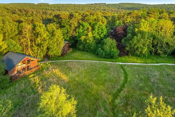 Classic Silver Birch 2 (Pet) - Keldy, Nr Pickering