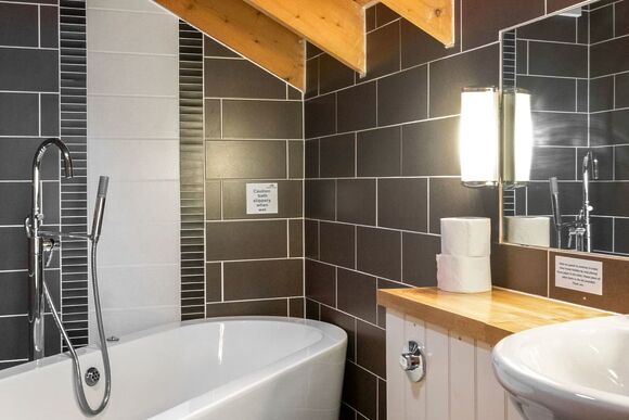 Classic Silver Birch 2 (Pet) - Keldy, Nr Pickering