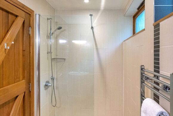 Classic Silver Birch 2 (Pet) - Keldy, Nr Pickering