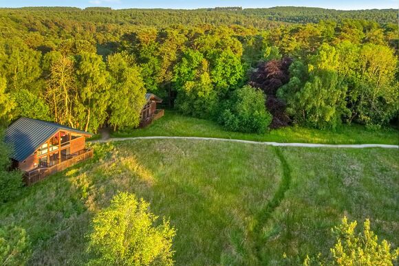 Classic Silver Birch 3 (Pet) - Keldy, Nr Pickering