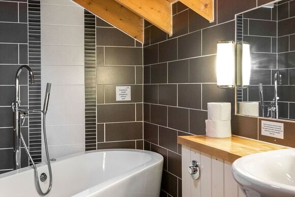 Classic Silver Birch 3 (Pet) - Keldy, Nr Pickering