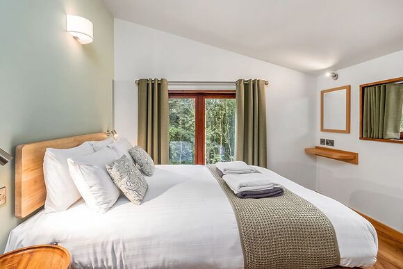 Classic Golden Oak 4 (Pet) - Keldy, Nr Pickering