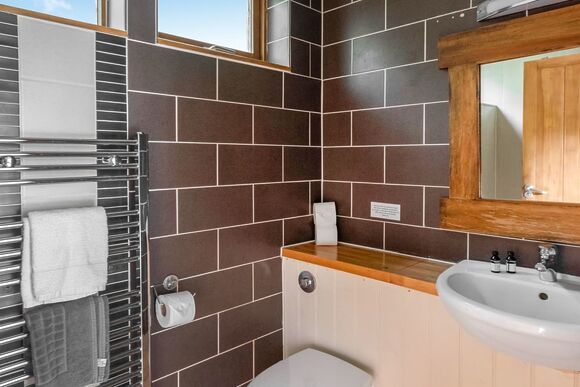 Classic Silver Birch 2 - Keldy, Nr Pickering