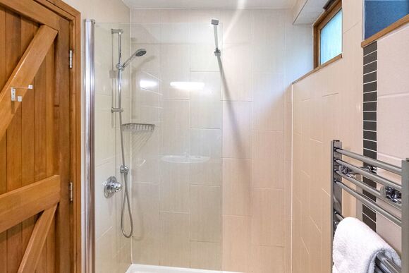 Classic Silver Birch 3 - Keldy, Nr Pickering