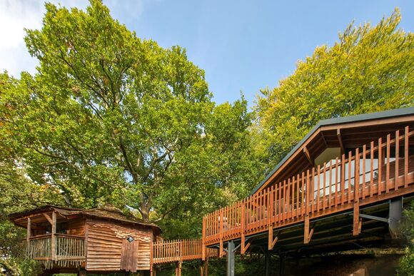 Classic Golden Oak Treehouse - Keldy, Nr Pickering