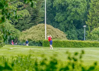 Kenwick Woods, Louth, Lincolnshire Wolds