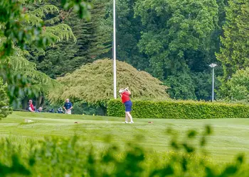 Kenwick Woods, Louth, Lincolnshire Wolds