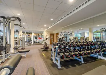 Kenwick Woods, Louth, Lincolnshire Wolds