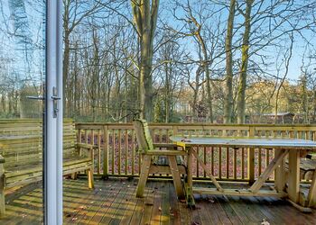 Stamford Spa - Kenwick Woods, Louth, Lincolnshire Wolds