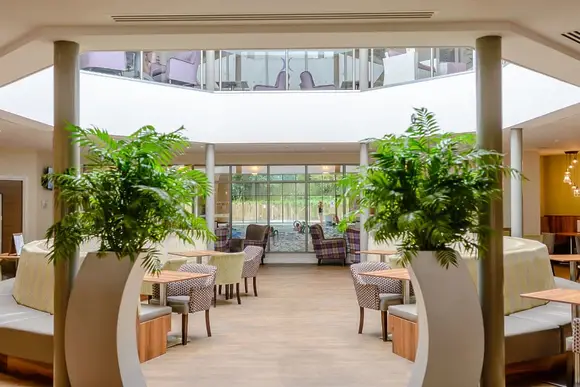 Kenwick Woods, Louth, Lincolnshire Wolds