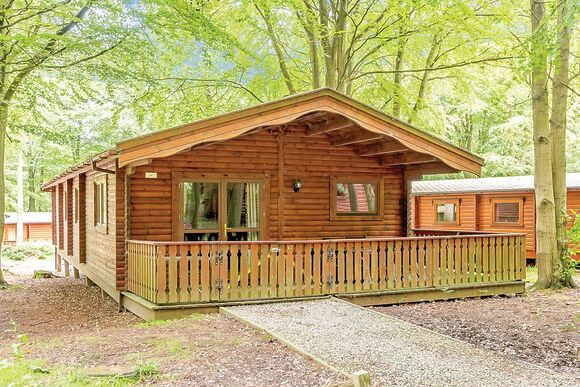 Cedar Lodge (Pet) - Kenwick Woods, Louth, Lincolnshire Wolds