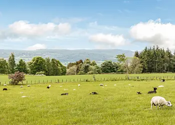 Kessock Highland Lodges, North Kessock, Inverness