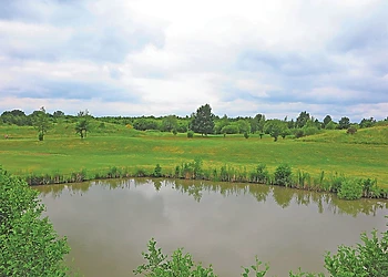 Kingswood