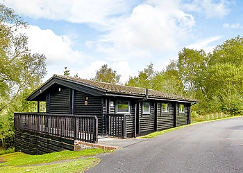 Catcleugh  (Pet) - Kielder Waterside, Kielder Water and Forest Park