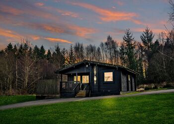 Falstone Spa (Pet) - Kielder Waterside, Kielder Water and Forest Park