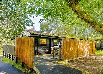 Catleugh Spa (Pet) - Kielder Waterside, Kielder Water and Forest Park