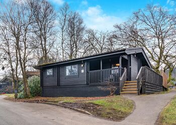 Catleugh Spa (Pet) - Kielder Waterside, Kielder Water and Forest Park