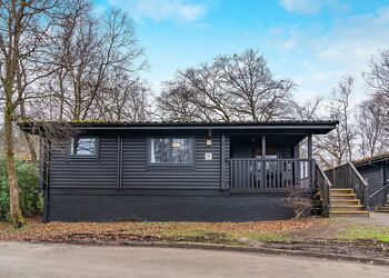 Catleugh Spa (Pet) - Kielder Waterside, Kielder Water and Forest Park